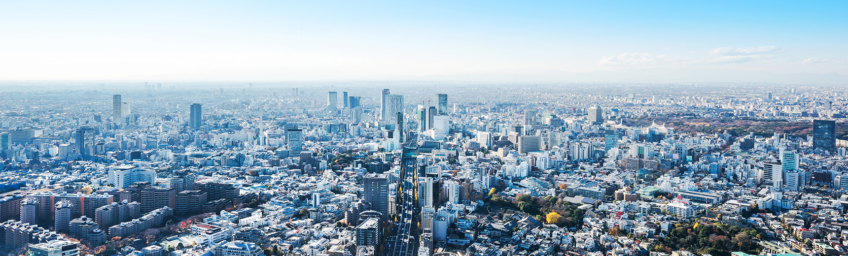 お客様が創る、自由な空の旅