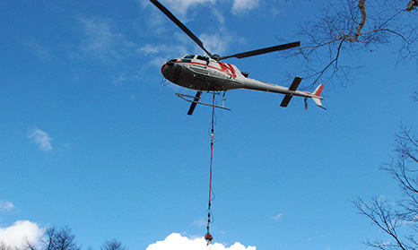 AS350B3