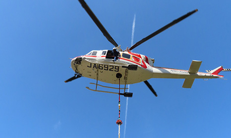 Bell412