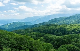 森林・治山事業支援