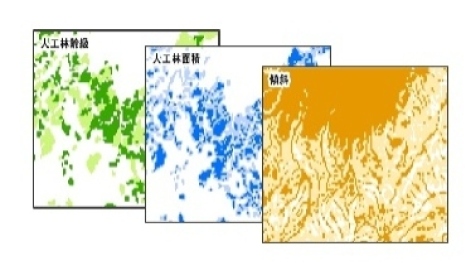 森林経営の移行調査支援