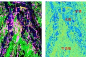 SAR画像の利用