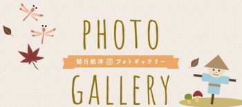 PHOTOGALLERY